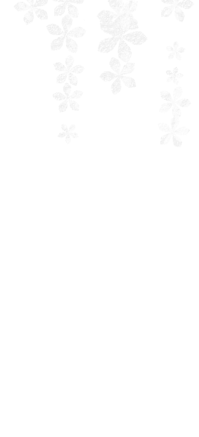 『五等分の花嫁∽』