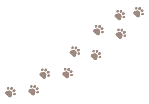 「初音ミク」Tree Village Cafe (ツリービレッジカフェ) 商品 アイテム