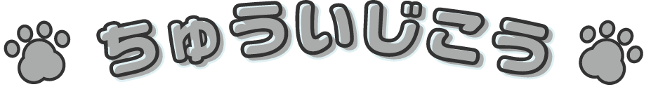 注意事項 かみさまキツネとサラリーマン POP UP STORE in 22カレー