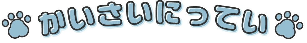 開催日程 かみさまキツネとサラリーマン POP UP STORE in 22カレー