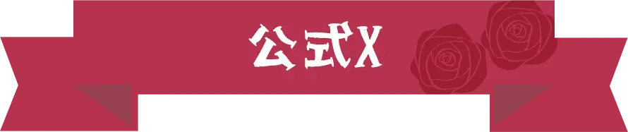 公式X