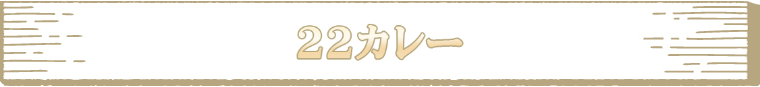 マジックナイト 魔法騎士 レイアース in 22(ニャンツー)カレー
