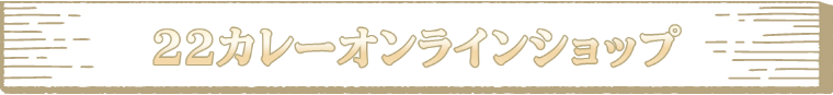 オンライン マジックナイト 魔法騎士 レイアース in 22(ニャンツー)カレー