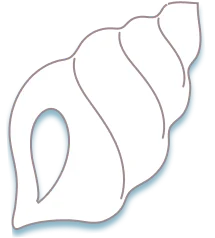 TVアニメ『とある科学の超電磁砲』 in 22カレー 巻貝オブジェクト フレーム右側上35%