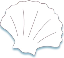 TVアニメ『とある科学の超電磁砲』 in 22カレー ホタテ貝オブジェクト フレーム左側中央