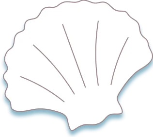 TVアニメ『とある科学の超電磁砲』 in 22カレー ホタテ貝（大）オブジェクト フレーム下線右下