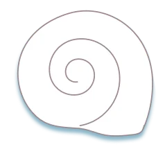 TVアニメ『とある科学の超電磁砲』 in 22カレー カタツムリオブジェクト フレーム左中央