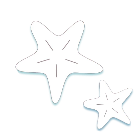 TVアニメ『とある科学の超電磁砲』 in 22カレー ヒトデ珊瑚礁オブジェクト フレーム左上