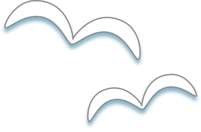 TVアニメ『とある科学の超電磁砲』 in 22カレー カモメオブジェクト フレーム下線右下